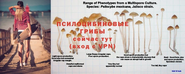 MESCALINE Беломорск